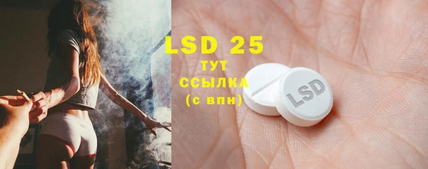 индика Аркадак