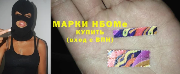 индика Аркадак