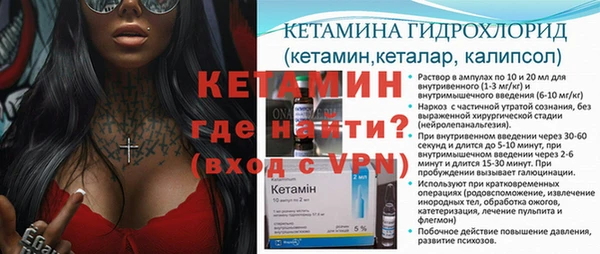 индика Аркадак