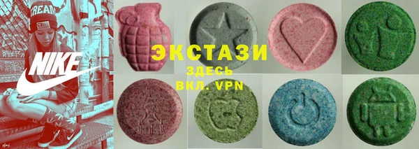 индика Аркадак