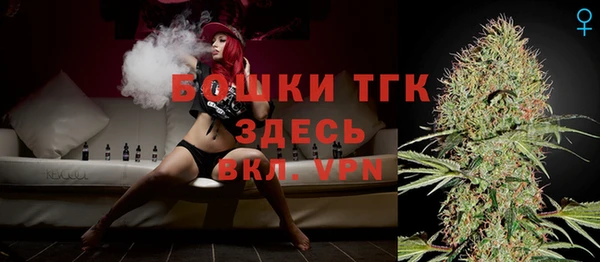 индика Аркадак